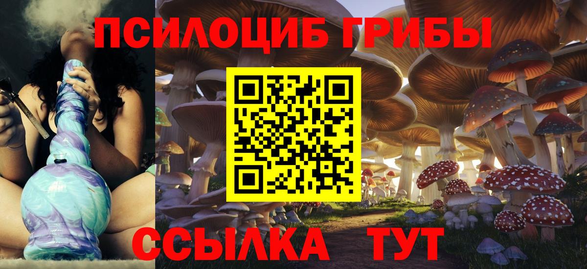 Псилоцибиновые грибы Мыски